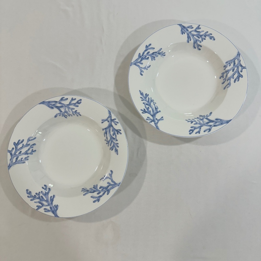 Mikasa Coral Reef HK286 Rimmed Soup Bowls 9.5 Blue White Set of 2